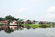 Foto: Cilts sievietes un saldūdens delfīnu meklējumi Borneo